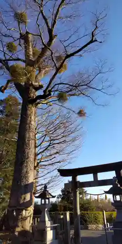 宗我神社(神奈川県)