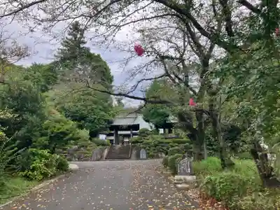 玉泉寺(東京都)