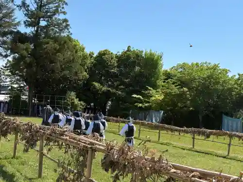 賀茂別雷神社（上賀茂神社）の{uncategorized: "未分類", other: "その他", undefined: "問題あり", building: "その他建物", grave: "お墓", sacred_gate: "鳥居", guardian: "狛犬", statue: "像", buddha: "仏像", history: "歴史", nature: "自然", garden: "庭園", animal: "動物", pagoda: "塔", temizu: "手水舎", mountain_gate: "山門・神門", sanctuary: "本殿・本堂", subordinate: "末社・摂社", art: "芸術", scenery: "景色", jizo: "地蔵", ema: "絵馬", goshuin: "御朱印", omikuji: "おみくじ", items: "授与品その他", amulet: "お守り", goshuincho: "御朱印帳", eats: "食事", festival: "お祭り", votive_dance: "神楽", shichigosan: "七五三参", wedding: "結婚式", experience: "体験その他", initially: "初詣", around: "周辺", anti_infection: "感染症対策"}