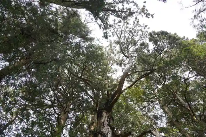 玉置神社(奈良県)