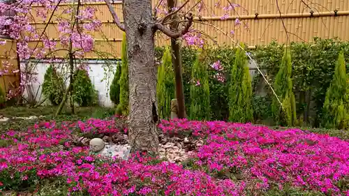 寿量山　速成寺の庭園