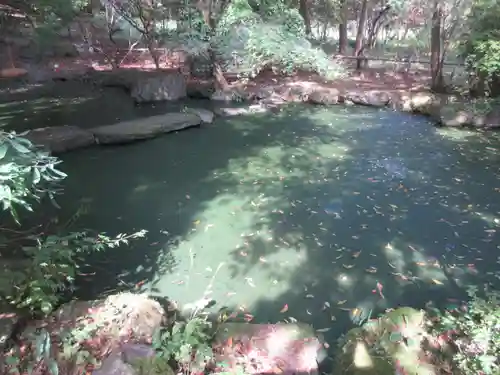 八王寺(埼玉県)