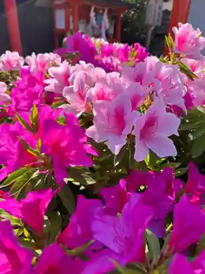 崇道天皇社(奈良県)