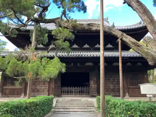 大徳寺(京都府)