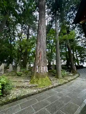 富士山東口本宮 冨士浅間神社(静岡県)