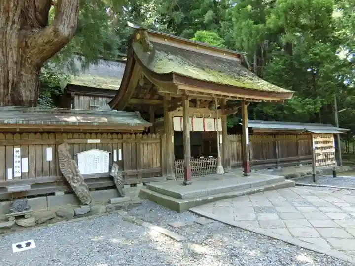 若狭姫神社(若狭彦神社下社)の本殿・本堂