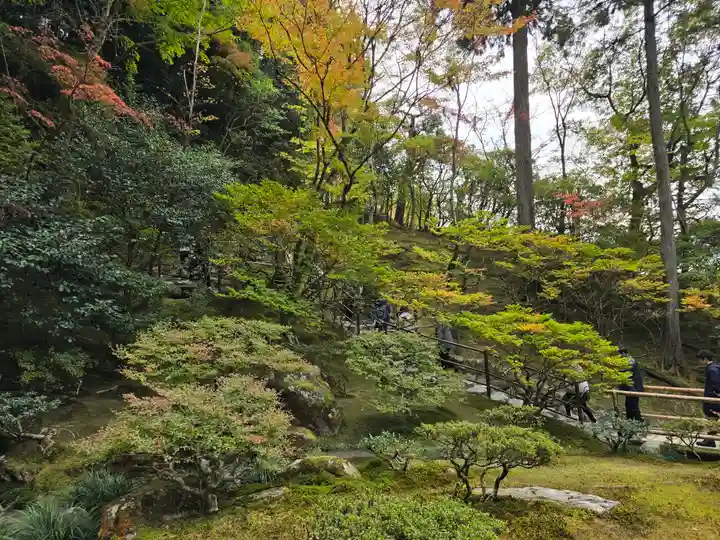 慈照寺(慈照禅寺・銀閣寺)(京都府)