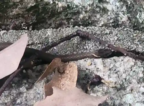 三島神社(愛媛県)