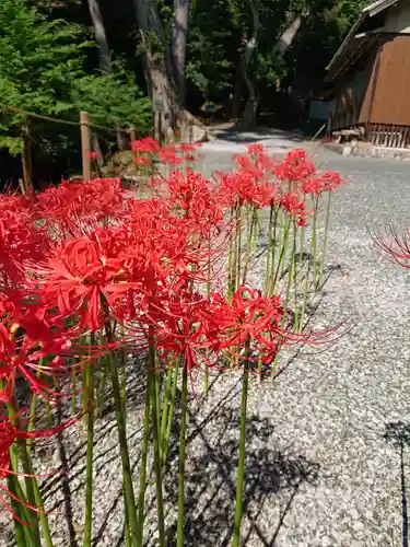 渭伊神社の自然