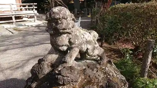 貫井神社の狛犬