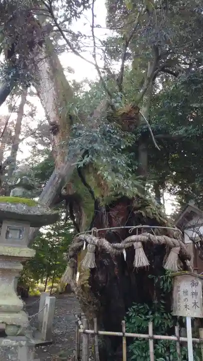 川尻八幡宮(神奈川県)