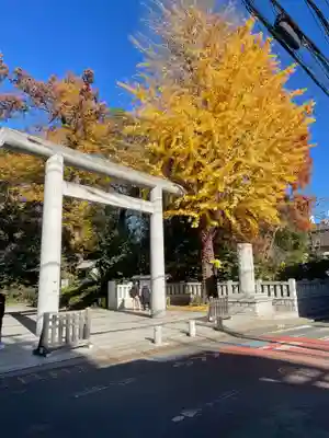 阿佐ヶ谷神明宮(東京都)