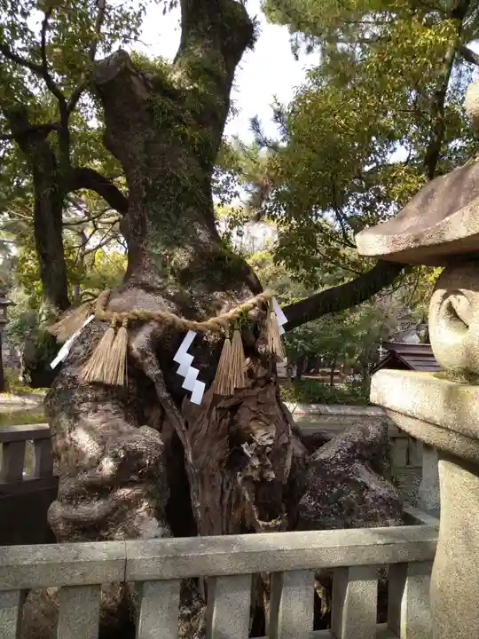 住吉大社(大阪府)