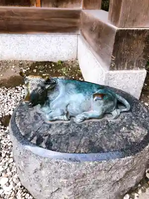 赤羽八幡神社の狛犬