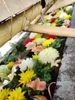 鳩森八幡神社の手水舎