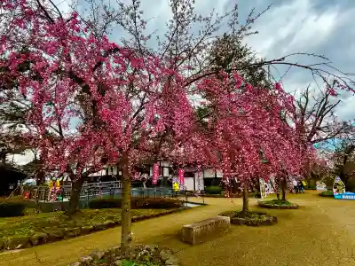 青森縣護國神社の{uncategorized: "未分類", other: "その他", undefined: "問題あり", building: "その他建物", grave: "お墓", sacred_gate: "鳥居", guardian: "狛犬", statue: "像", buddha: "仏像", history: "歴史", nature: "自然", garden: "庭園", animal: "動物", pagoda: "塔", temizu: "手水舎", mountain_gate: "山門・神門", sanctuary: "本殿・本堂", subordinate: "末社・摂社", art: "芸術", scenery: "景色", jizo: "地蔵", ema: "絵馬", goshuin: "御朱印", omikuji: "おみくじ", items: "授与品その他", amulet: "お守り", goshuincho: "御朱印帳", eats: "食事", festival: "お祭り", votive_dance: "神楽", shichigosan: "七五三参", wedding: "結婚式", experience: "体験その他", initially: "初詣", around: "周辺", anti_infection: "感染症対策"}