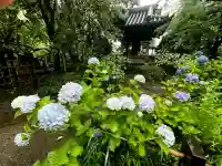 資福寺の{uncategorized: "未分類", other: "その他", undefined: "問題あり", building: "その他建物", grave: "お墓", sacred_gate: "鳥居", guardian: "狛犬", statue: "像", buddha: "仏像", history: "歴史", nature: "自然", garden: "庭園", animal: "動物", pagoda: "塔", temizu: "手水舎", mountain_gate: "山門・神門", sanctuary: "本殿・本堂", subordinate: "末社・摂社", art: "芸術", scenery: "景色", jizo: "地蔵", ema: "絵馬", goshuin: "御朱印", omikuji: "おみくじ", items: "授与品その他", amulet: "お守り", goshuincho: "御朱印帳", eats: "食事", festival: "お祭り", votive_dance: "神楽", shichigosan: "七五三参", wedding: "結婚式", experience: "体験その他", initially: "初詣", around: "周辺", anti_infection: "感染症対策"}
