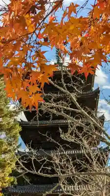 仁和寺(京都府)
