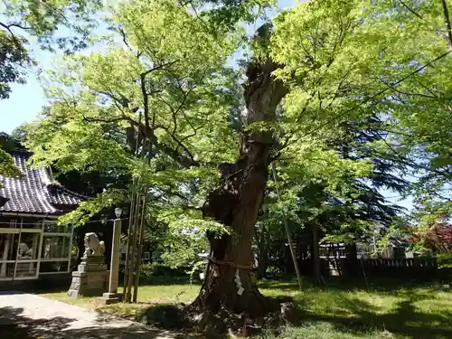 御馬神社の庭園