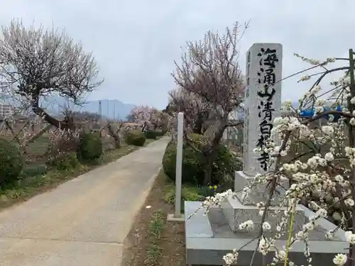 清白寺のその他建物