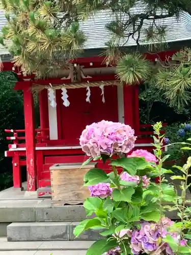 三嶋大社(静岡県)