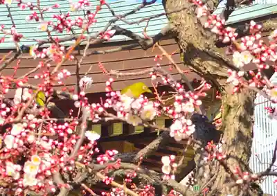 湯島天満宮(東京都)