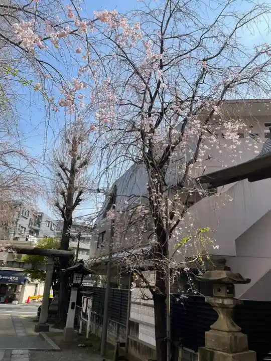 池尻稲荷神社の自然