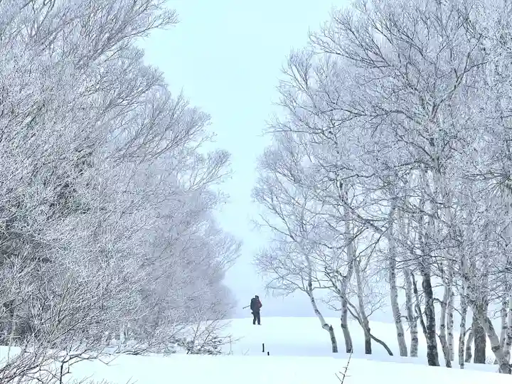 山家神社奥宮の自然