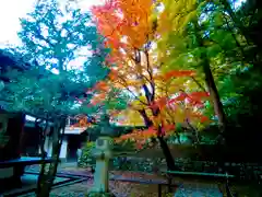 法然院(京都府)