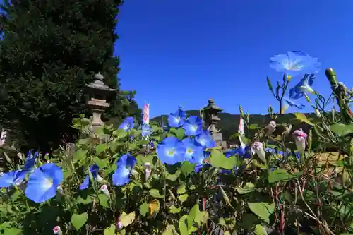 高司神社〜むすびの神の鎮まる社〜の庭園