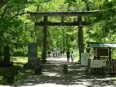 戸隠神社中社の鳥居