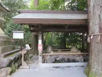 椿大神社の手水舎