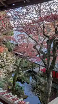 柳谷観音　楊谷寺(京都府)