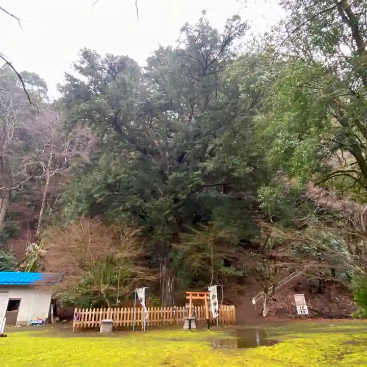 金剛院(京都府)