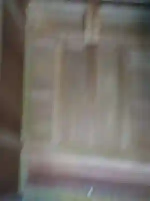 安房神社(千葉県)