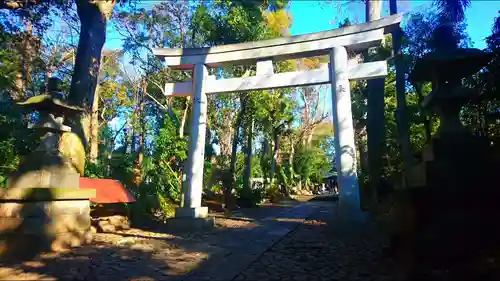 代々木八幡宮の鳥居