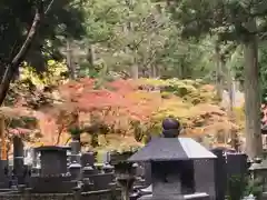 高野山金剛峯寺奥の院(和歌山県)