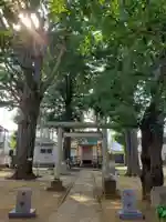 中野天祖神社の鳥居