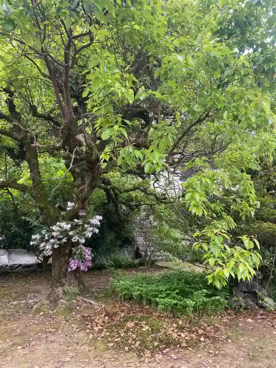 大恩寺(愛知県)