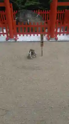 宝満神宮寺の芸術