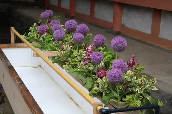 武蔵一宮氷川神社(埼玉県)