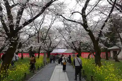 平野神社(京都府)