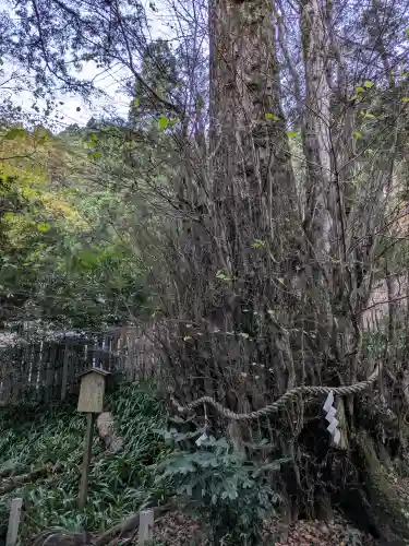 貴船神社結社の{uncategorized: "未分類", other: "その他", undefined: "問題あり", building: "その他建物", grave: "お墓", sacred_gate: "鳥居", guardian: "狛犬", statue: "像", buddha: "仏像", history: "歴史", nature: "自然", garden: "庭園", animal: "動物", pagoda: "塔", temizu: "手水舎", mountain_gate: "山門・神門", sanctuary: "本殿・本堂", subordinate: "末社・摂社", art: "芸術", scenery: "景色", jizo: "地蔵", ema: "絵馬", goshuin: "御朱印", omikuji: "おみくじ", items: "授与品その他", amulet: "お守り", goshuincho: "御朱印帳", eats: "食事", festival: "お祭り", votive_dance: "神楽", shichigosan: "七五三参", wedding: "結婚式", experience: "体験その他", initially: "初詣", around: "周辺", anti_infection: "感染症対策"}