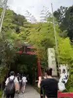 來宮神社(静岡県)