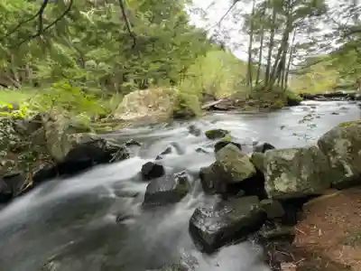 穂高神社奥宮の自然