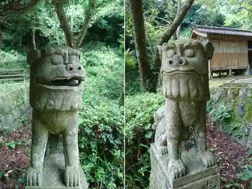 崎津諏訪神社の狛犬