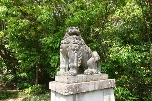 竈山神社の狛犬