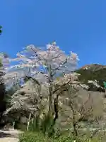 浅川神社(東京都)
