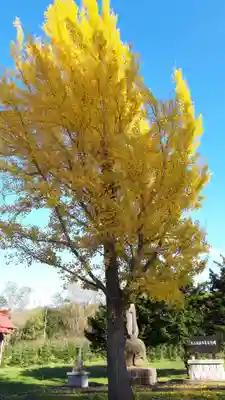 大江神社(北海道)
