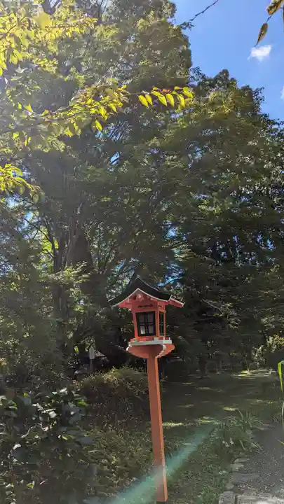 十輪寺(京都府)